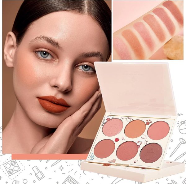 ⁦Azonee Blushes, 6 Colors Pearlescent Blushes Powder Bright Facial Blushes Profile And Highlight Blushes Facial Beauty Makeup Blushes Glow on⁩ - الصورة ⁦5⁩