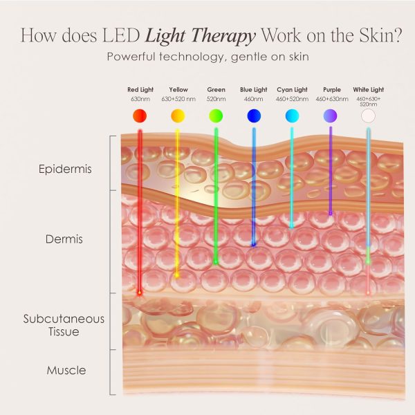 ⁦بروجيكت اي بيوتي قناع علاجي باضاءة LED، كل الأنواع⁩ - الصورة ⁦6⁩