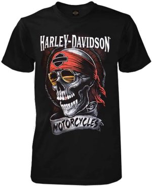 HARLEY-DAVIDSON, T-shirt, mens