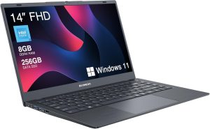 ECOHERO Laptop Computer, 8GB DDR4 RAM/256GB SSD, Intel Celeron Processor, 14 Inch FHD 1920x1080 Display, Win 11 Thin & Portable Notebook PC, 2.4G/5G WiFi and Bluetooth 5.1