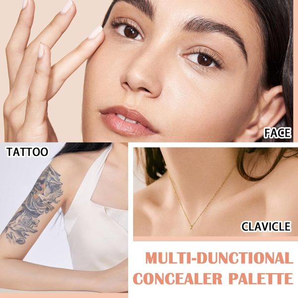 ⁦بالتة كونتور كونسيلر لتصحيح العيوب مكياج كريمية مكونة من 15 لونًا مع فرشاة لكريم الأساس السائل لإخفاء عيوب البشرة مجموعة الهالات السوداء والعيوب اكسيفور، كل الأنواع⁩ - الصورة ⁦7⁩