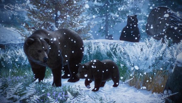 ⁦Planet Zoo: Console Edition (PlayStation 5)⁩ - الصورة ⁦7⁩