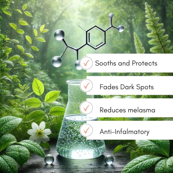 ⁦مسحوق حمضي مخصص لمستحضرات التجميل فعال في تفتيح البشرة وتقليل البقع الداكنة لتحضير الكريمات والسيروم واللوشن، 50 جرام⁩ - الصورة ⁦2⁩