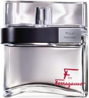 Salvatore Ferragamo Silver for Men Eau de Toilette 100ml, 157343