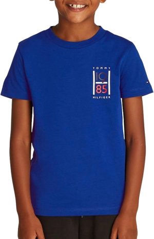 TOMMY HILFIGER Boys TH GRAPHIC REG TEE SS T-shirts (pack of 1)