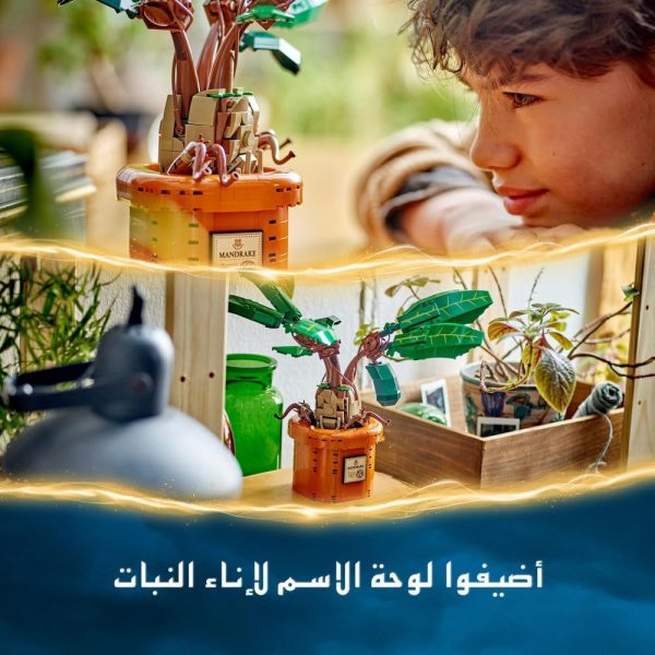 ⁦LEGO Harry Potter Mandrake Plant Toy Figure and Pot, Magical Set, Wizarding World Gift Idea for Girls, Boys and Fans, Imaginative Kids, Bedroom Decoration or Desk Accessory 76433⁩ - الصورة ⁦6⁩