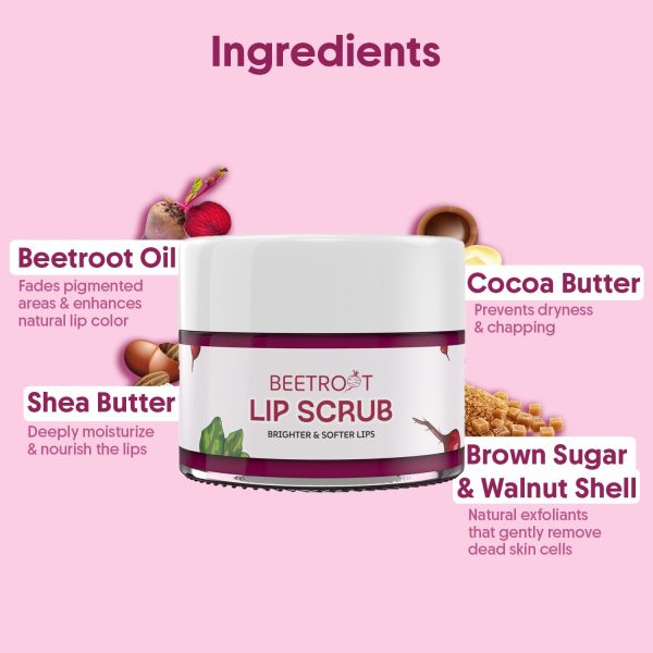 ⁦Aravi Organic Beetroot Lip Scrub with Shea Butter & Cocoa Butter – For Dark, Chapped & Pigmented Lips – Suitable for Men and Women - 0.5 FL Oz / 15gm⁩ - الصورة ⁦4⁩
