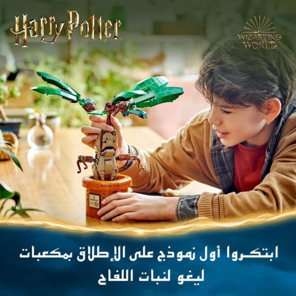 ⁦LEGO Harry Potter Mandrake Plant Toy Figure and Pot, Magical Set, Wizarding World Gift Idea for Girls, Boys and Fans, Imaginative Kids, Bedroom Decoration or Desk Accessory 76433⁩ - الصورة ⁦2⁩