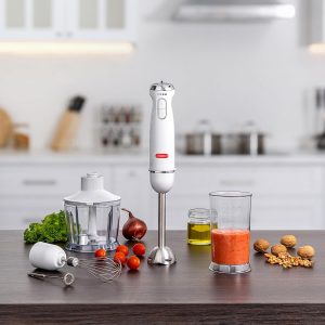 Alberto Alberto Stainless steel 1000W 4 in 1 hand blender