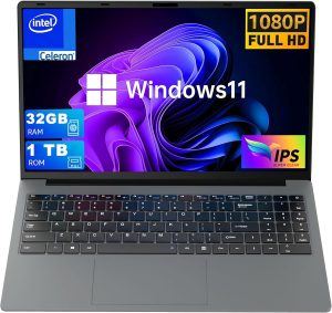 DUOQI Laptop 15.6 IPS 32GB RAM, 1024GB NVMe SSD, Intel Quad-Core14th Celeron CPU Laptop Computers with Windows11 Pro Support Face ID,2.4G/5G WiFi,BT5.1, USB3.2,HDMI,Type-C (32G+1T)