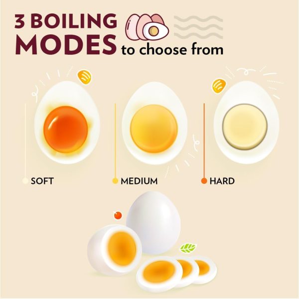 ⁦Borosil Electric Plus Egg Boiler with Poaching Tray, Boil Upto 8 Eggs At A Time, For Hard, Soft, Medium Boiled Eggs, Steamed Vegetables, Transparent Lid, Stainless Steel Exterior⁩ - الصورة ⁦5⁩