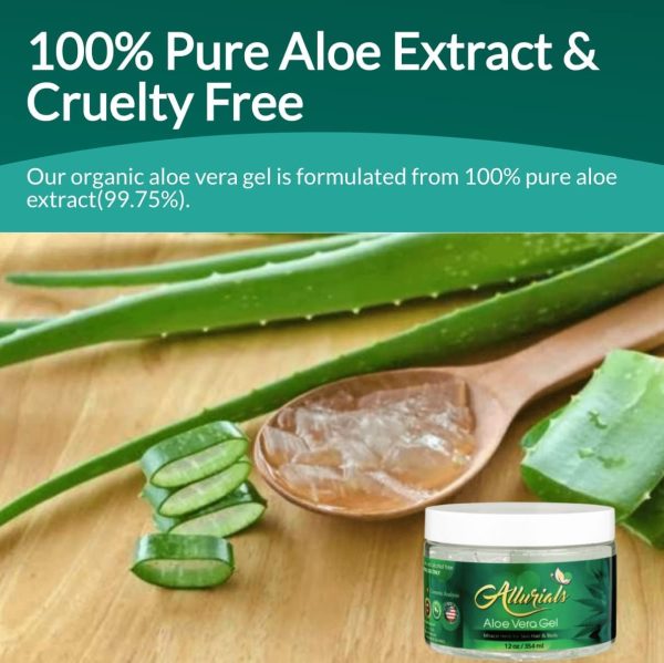 ⁦All Natural Aloe Vera Gel: Pure Aloe Vera Gelly from Organic Cold Pressed Aloe - Hydrates & Heals Dry, Itchy & Damaged Skin - Acne, Sunburn, Rash & Dandruff Relief - Fragrance & Alcohol Free - 350ml⁩ - الصورة ⁦3⁩