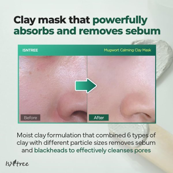 ⁦ISNTREE Real Mugwort Clay Mask 3.38 fl. oz. | Removes Dead Skin Cells Blackheads Whiteheads & Sebum Control | Deeply Moisturizing Clay Facial Mask for Dry Sensitive Oily Skin with Mugwort Extracts⁩ - الصورة ⁦4⁩