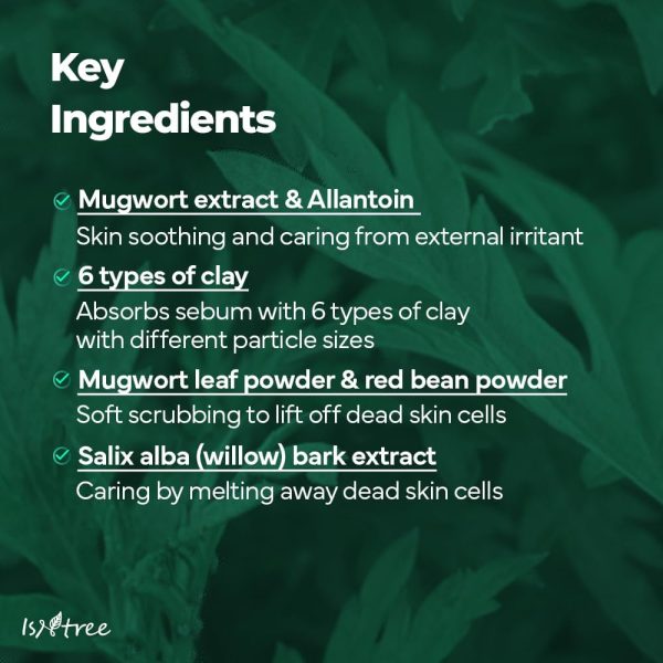 ⁦ISNTREE Real Mugwort Clay Mask 3.38 fl. oz. | Removes Dead Skin Cells Blackheads Whiteheads & Sebum Control | Deeply Moisturizing Clay Facial Mask for Dry Sensitive Oily Skin with Mugwort Extracts⁩ - الصورة ⁦5⁩