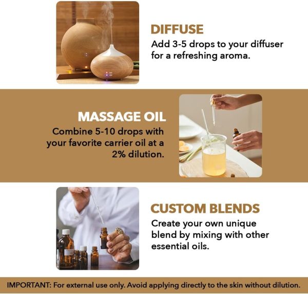 ⁦Majestic Pure Frankincense Essential Oil, Premium Grade, Pure and Natural, for Aromatherapy, Massage, Topical & Household Uses, 1 fl oz⁩ - الصورة ⁦3⁩