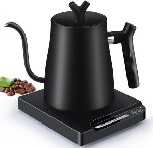 Goodun Electric Kettle, Precision Electric Gooseneck Kettle 304 Stainless Steel Adjustable Temperature Quick Boil 1L Quick Heating (Black)