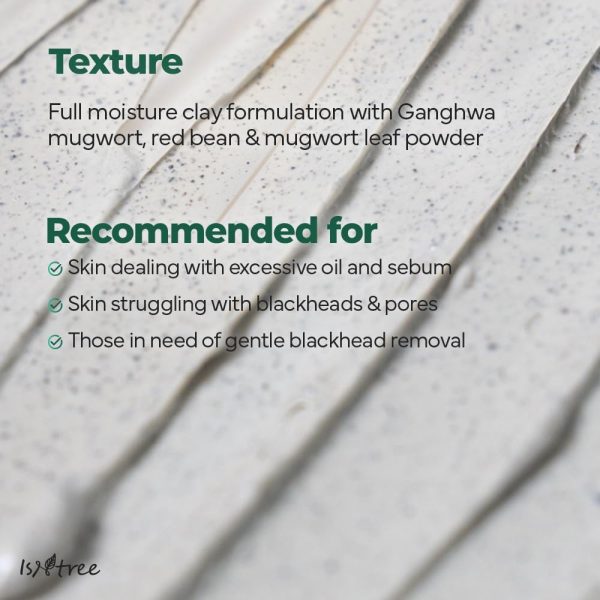 ⁦ISNTREE Real Mugwort Clay Mask 3.38 fl. oz. | Removes Dead Skin Cells Blackheads Whiteheads & Sebum Control | Deeply Moisturizing Clay Facial Mask for Dry Sensitive Oily Skin with Mugwort Extracts⁩ - الصورة ⁦7⁩