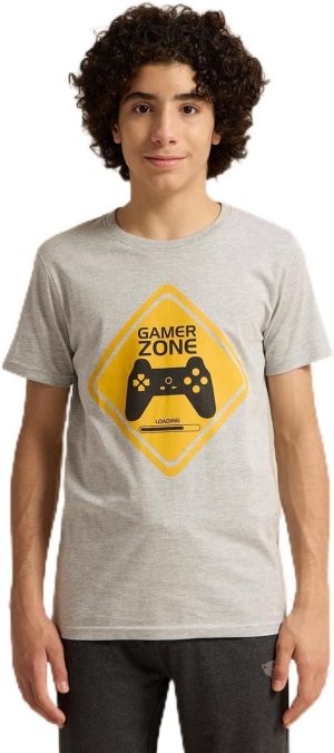 REDTAG Senior Boys Grey Printed T-Shirt