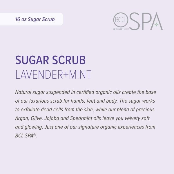 ⁦BCL SPA Sugar Scrub Lavender + Mint,16 oz⁩ - الصورة ⁦2⁩