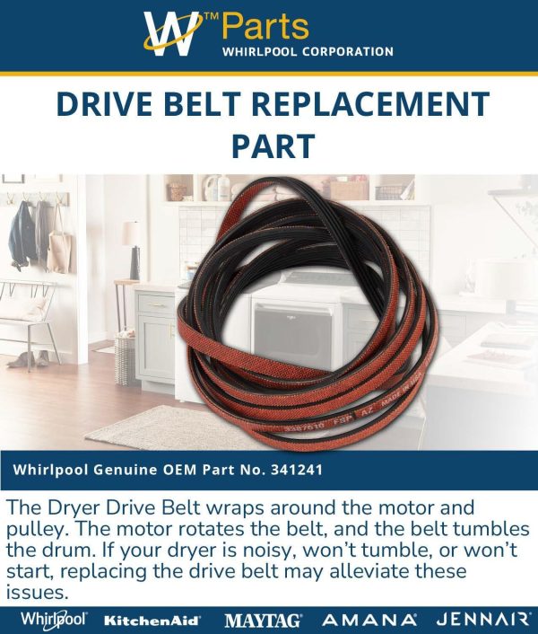 ⁦Whirlpool 341241 Dryer Drum Belt, white⁩ - الصورة ⁦5⁩