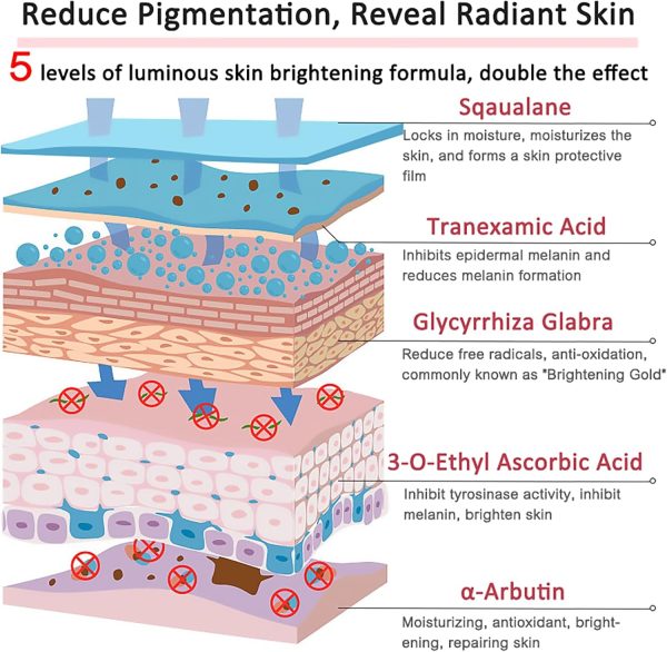 ⁦DEleventh Korean Brand α-Arbutin Revitalizing Face Cream 30g / with Vitamin C and Sodium Hyaluronate for a Brighter, Even-Toned Complexion and Deep Hydration⁩ - الصورة ⁦4⁩