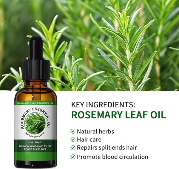 ⁦NALACAL Rosemary Oil for Hair Growth, Essential Oil for Skin and Hair Care, Promotes Natural Hair, Eyebrow, and Eyelash Growth, Best Hair Thickening Product for Men and Women (30ml)⁩ - الصورة ⁦5⁩