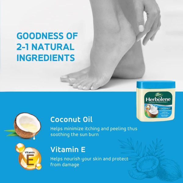 ⁦Dabur Herbolene - Coconut Petroleum Jelly, Sun Burn Soothing - 225ml⁩ - الصورة ⁦4⁩