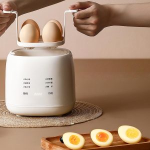 WEedsy Fully Automatic Smart Egg Cooker - Electric Boiler Machine for Steamed, Hard Boiled, Soft Boiled Eggs and Onsen Tamago - Home, Kitchen, Dorm Use