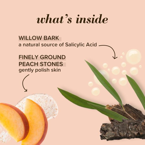 ⁦Burt's Bees Peach and Willow Bark Deep Pore Exfoliating Facial Scrub, 4 Oz (Package May Vary)⁩ - الصورة ⁦5⁩