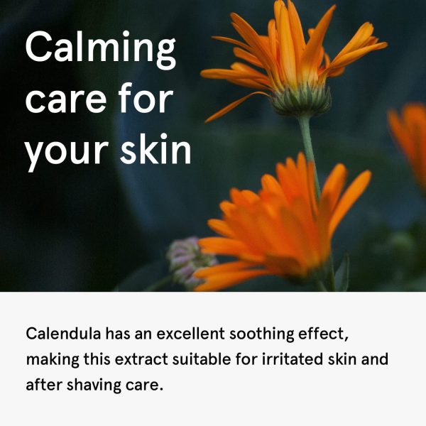 ⁦ONE THING Calendula Officinalis Flower Extract Toner 5.07 Fl Oz | Hydrating Soothing Vegan Facial Extracto, Smooth Soft Sensitive Oily Acne Prone Skin, Barrier Relief Sebum Control | Korean Skin Care⁩ - الصورة ⁦4⁩