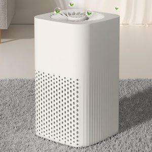 Air Purifiers for Bedroom Home HEPA Air Purifier Removes Smoke Pollen Pet Dander Allergies Odor Small Air Purifiers with Sleep Mode