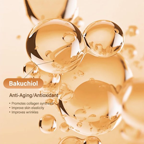 ⁦L'ANGOLO Bakuchiol Anti-wrinkle Cream 50ml, Anti-Aging, Collagen Boosting, Wrinkle Reducing, Brightening, with Bakuchiol, Maltitol, Mannitol⁩ - الصورة ⁦4⁩