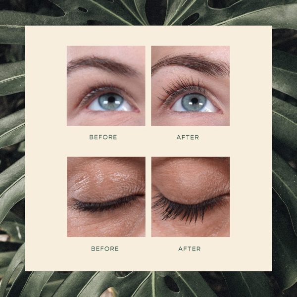 ⁦VEGAMOUR GRO Lash Serum, Eyelash Enhancer, Vegan Eyelash Serum for Fuller, Thicker Looking Lashes in as Soon as 30 Days, 3 ML⁩ - الصورة ⁦6⁩