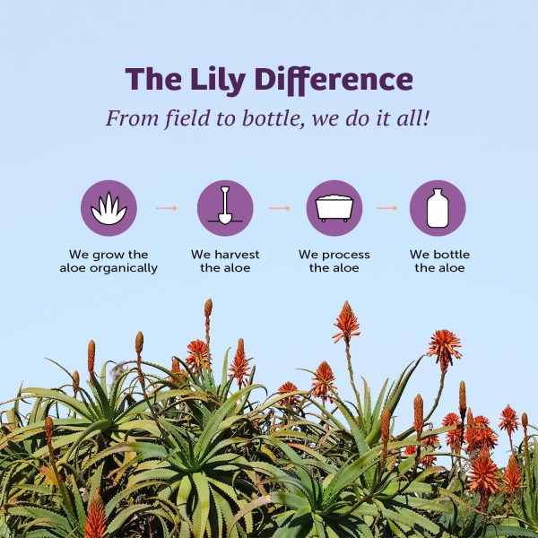 ⁦Lily Of The Desert - Aloe Vera Gelly Tube, 4 fl oz gel⁩ - الصورة ⁦7⁩