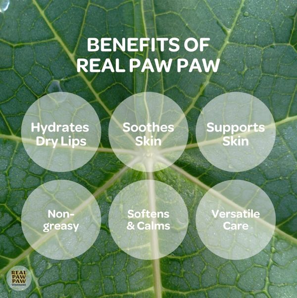 ⁦Real Paw Paw Ointment 25g (Bundle of 3) with Fermented Paw Paw Calendula Infused Oil⁩ - الصورة ⁦3⁩