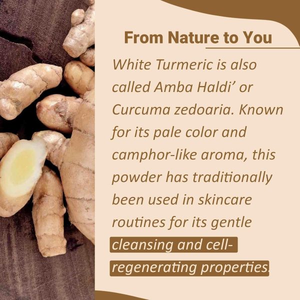 ⁦White Turmeric Powder by mi Nature | Kachur, Curcuma zeodaria,Poolankilangu Powder | 227g(8 oz) (0.5 lb) | Does not Stain | White Turmeric Powder for face and Skin | 100% Natural Powder| from India⁩ - الصورة ⁦2⁩
