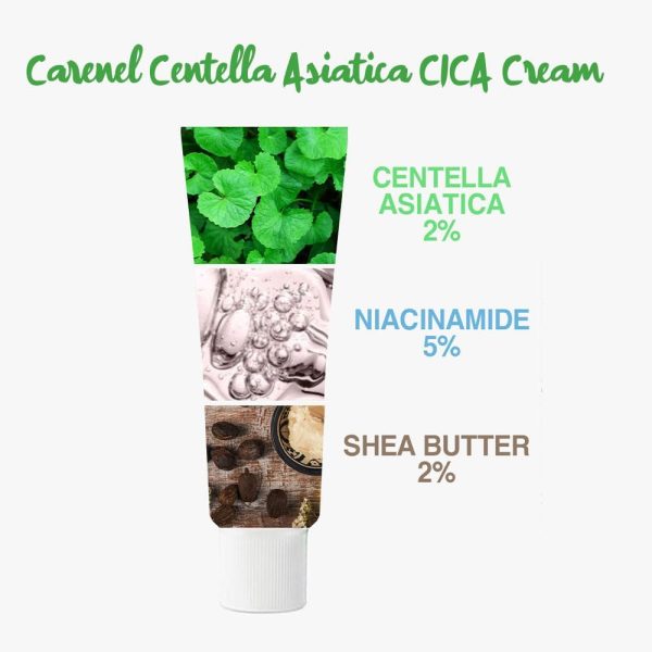 ⁦CARE:NEL Melasma Treatment for Face Cream - Dark Spot Remover Centella Asiatica - Korean Skin Care Beauty Products 40ml/1.35 fl.oz⁩ - الصورة ⁦3⁩