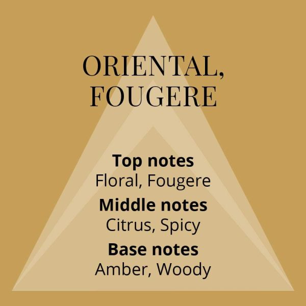 ⁦Colour Me Gold Homme & Colour Me Purple Perfumes Eau de Parfum for Women 2X100ml Pack Of 2⁩ - الصورة ⁦4⁩