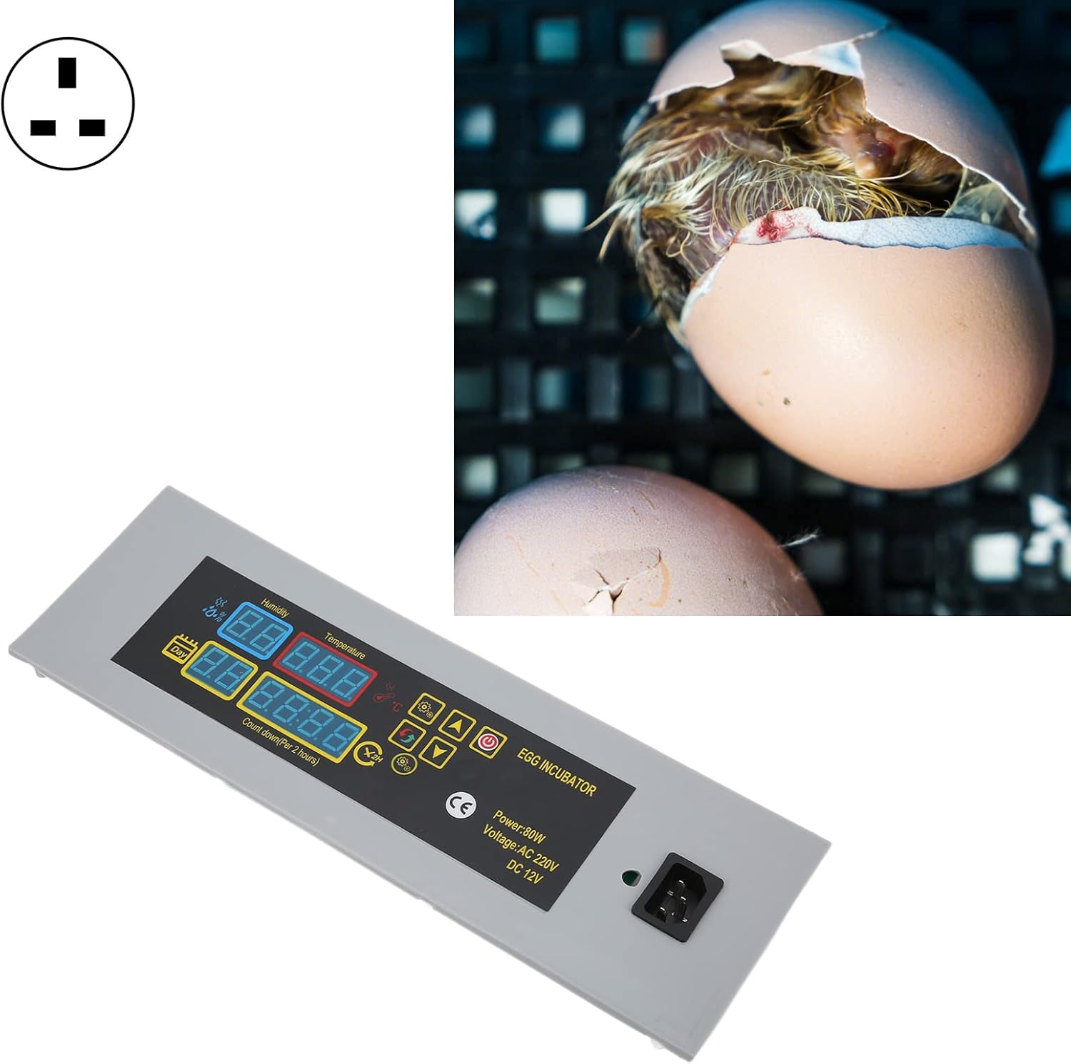 CHDE Digital Mini Fully Automatic Egg Incubator, Digital Poultry Incubator Stable Practical for Egg Incubator for Poultry Incubator(#3) 2 CHDE Digital Mini Fully Automatic Egg Incubator, Digital Poultry Incubator Stable Practical for Egg Incubator for Poultry Incubator(#3) - الصورة 2