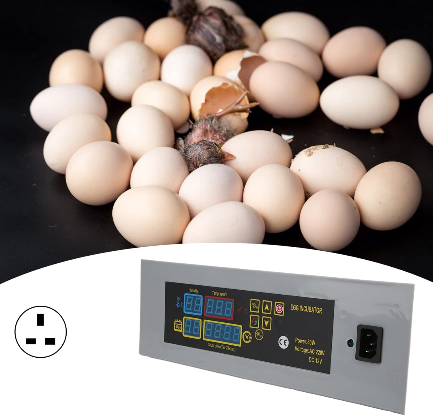 CHDE Digital Mini Fully Automatic Egg Incubator, Digital Poultry Incubator Stable Practical for Egg Incubator for Poultry Incubator(#3) 3 CHDE Digital Mini Fully Automatic Egg Incubator, Digital Poultry Incubator Stable Practical for Egg Incubator for Poultry Incubator(#3) - الصورة 3