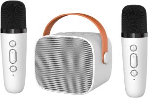 HSYDIY Bluetooth Speaker Karaoke for Kids Adult Karaoke Machine with 2 Wireless Microphones Portable Bluetooth Karaoke Toy for Girls and Boys Birthday Gift Family Party Entertainment (White)
