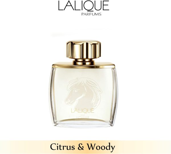 ⁦Lalique for Men 75ml Eau de Parfum Spray⁩ - الصورة ⁦5⁩