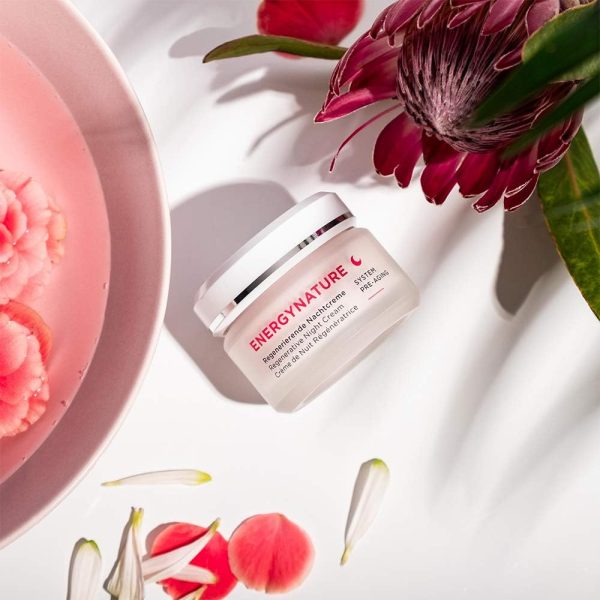 ⁦ANNEMARIE BÖRLIND Energynature System Pre-Aging Regenerative Night Cream for Unisex 1.7 oz Cream⁩ - الصورة ⁦8⁩
