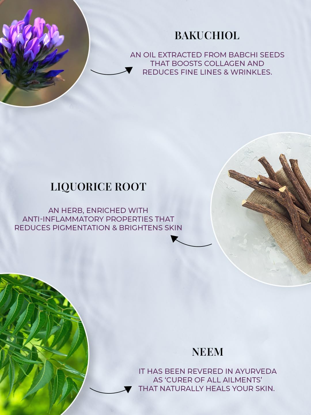 Just Herbs Plant-based Retinol Face Wash For Fine Lines,Wrinkles & Dark Spots All Skin Types Men & Women - 100ml 5 Just Herbs Plant-based Retinol Face Wash For Fine Lines,Wrinkles & Dark Spots All Skin Types Men & Women - 100ml - الصورة 5