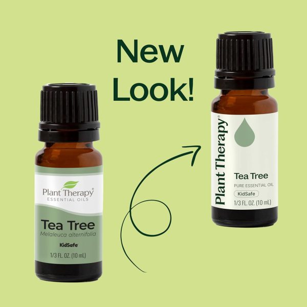⁦Plant Therapy Tea Tree Essential Oil 100% Pure, Undiluted, Natural Aromatherapy, Therapeutic Grade 30 mL (1 oz)⁩ - الصورة ⁦6⁩