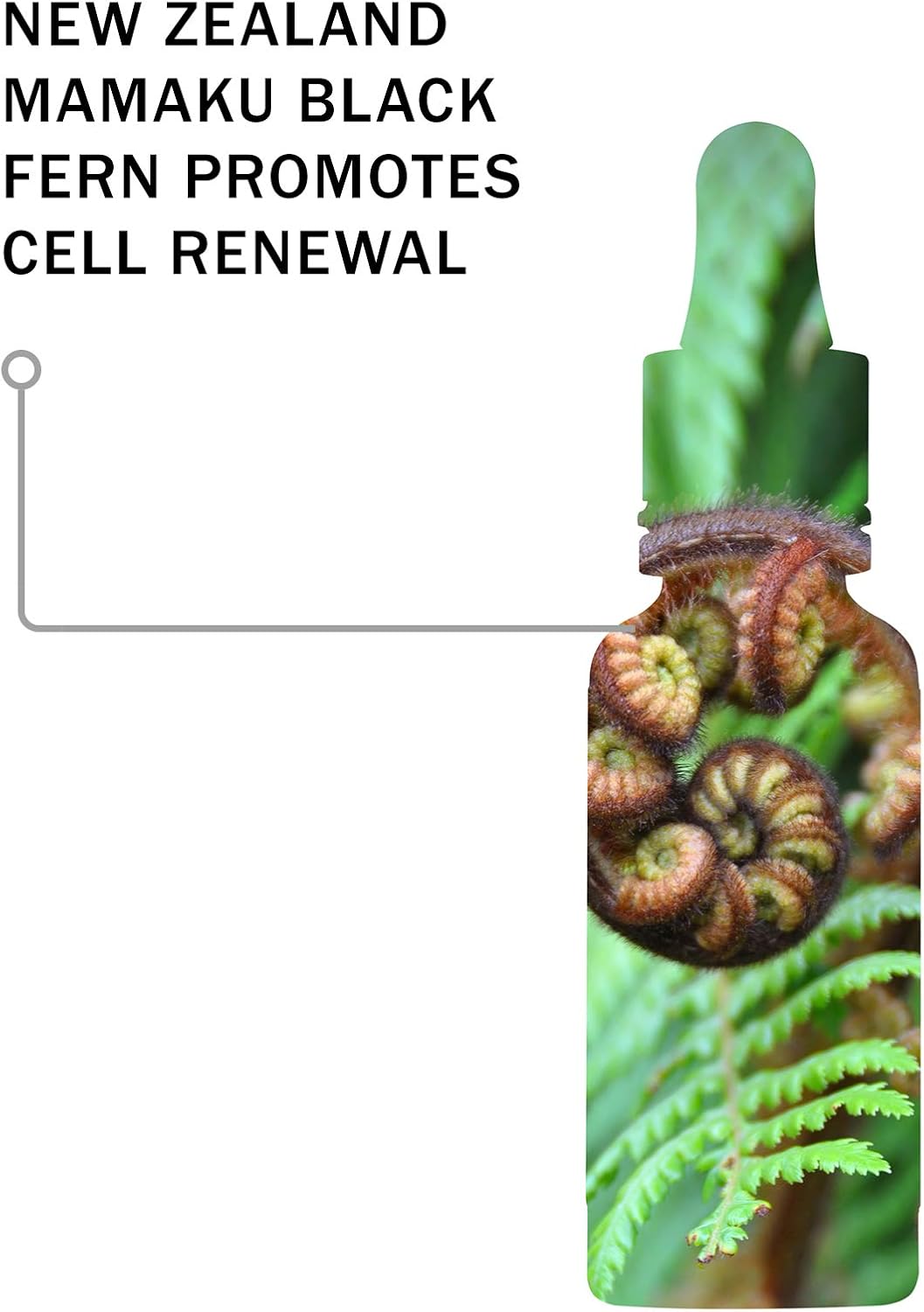 Antipodes Hosanna H2O Intensive Skin-Plumping Facial Serum – Hydrating Serum – Collagen Face Serum with New Zealand Bioactives – Dry Skin & Dehydrated Skin – 30ml 3 Antipodes Hosanna H2O Intensive Skin-Plumping Facial Serum – Hydrating Serum – Collagen Face Serum with New Zealand Bioactives – Dry Skin & Dehydrated Skin – 30ml - الصورة 3