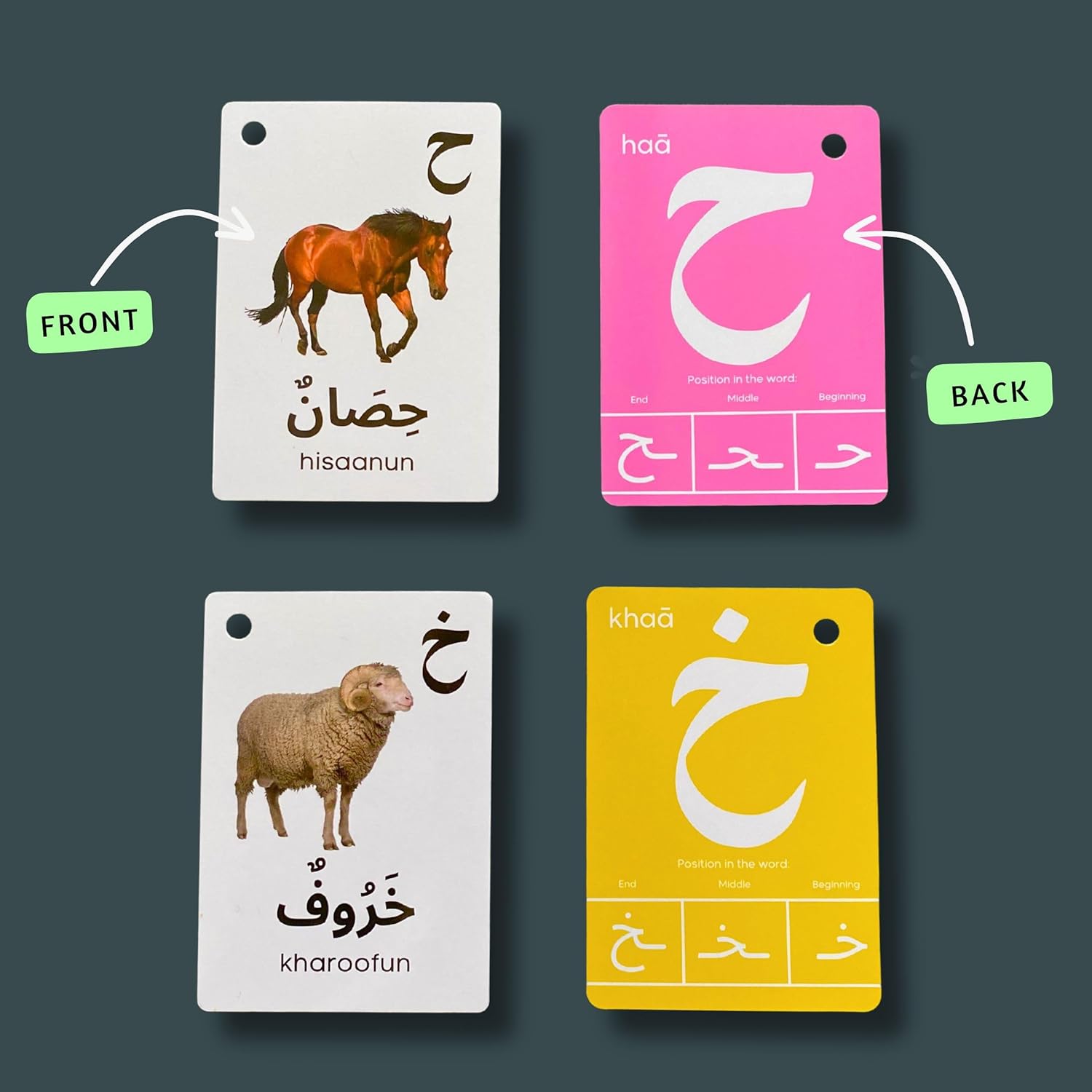 Albidaya Islamic Store Arabic Alphabet Flash Cards for Kids, Toddler and Adults - First Words, Letter Recognition, Homeschool Learning, Teacher Resource 2 Albidaya Islamic Store Arabic Alphabet Flash Cards for Kids, Toddler and Adults - First Words, Letter Recognition, Homeschool Learning, Teacher Resource - الصورة 2
