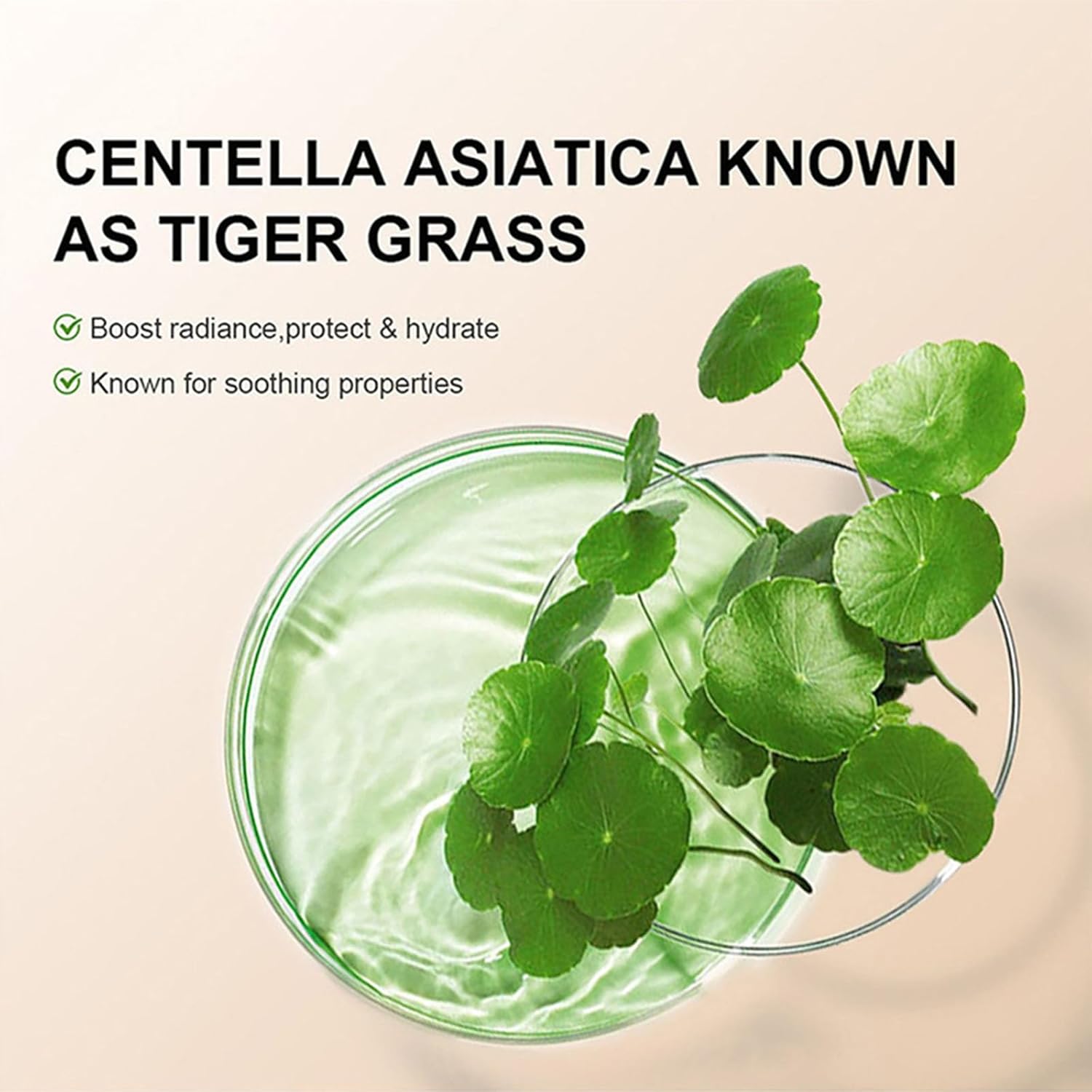 Lyaqbe Centella CC Cream,Color Correcting CC Cream,Concealer before Makeup to Brighten Skin Tone,Invisible Pores Concealer(Dark) 6 Lyaqbe Centella CC Cream,Color Correcting CC Cream,Concealer before Makeup to Brighten Skin Tone,Invisible Pores Concealer(Dark) - الصورة 6