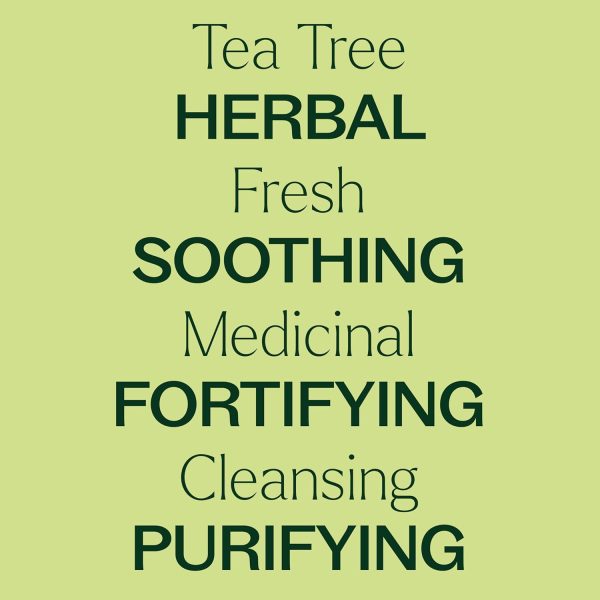 ⁦Plant Therapy Tea Tree Essential Oil 100% Pure, Undiluted, Natural Aromatherapy, Therapeutic Grade 30 mL (1 oz)⁩ - الصورة ⁦4⁩