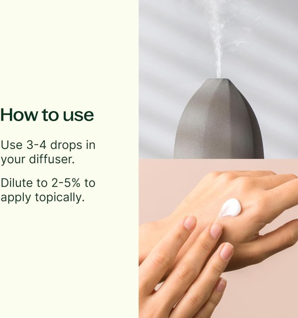 ⁦Plant Therapy Tea Tree Essential Oil 100% Pure, Undiluted, Natural Aromatherapy, Therapeutic Grade 30 mL (1 oz)⁩ - الصورة ⁦2⁩